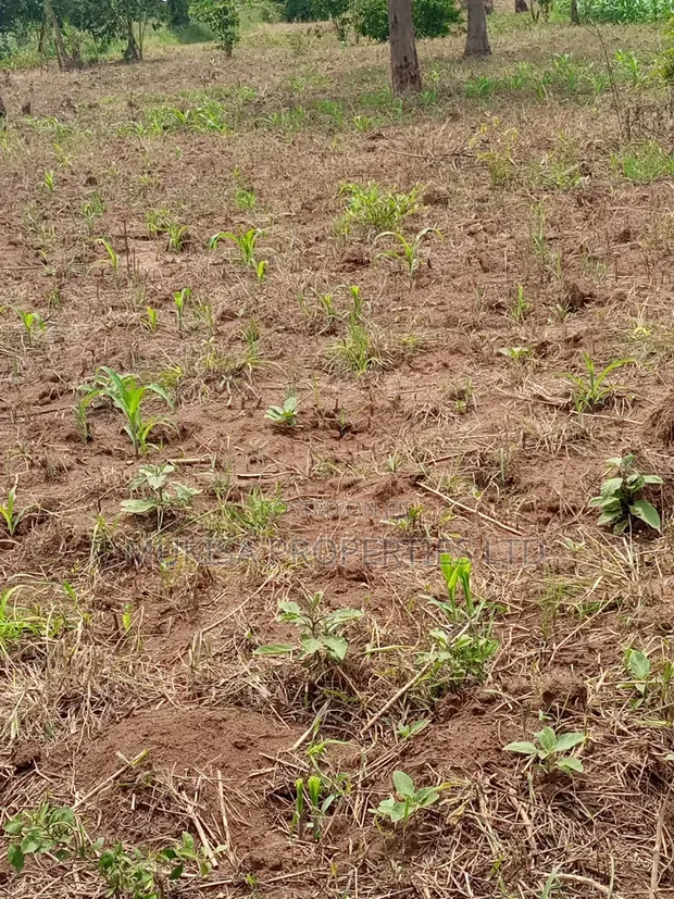 Farmland for Sale in Kayonza - 1