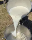 Fresh Cow Milk - 3