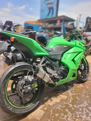 Kawasaki Ninja 250 Sport Bike 2011