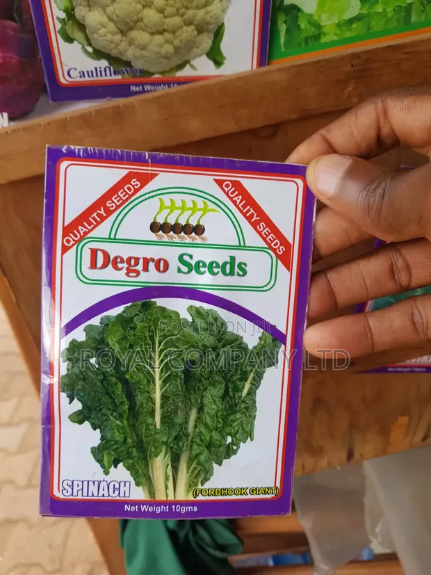 Degro Seeds Spinach (Fordhook Giant) - 10g - 1