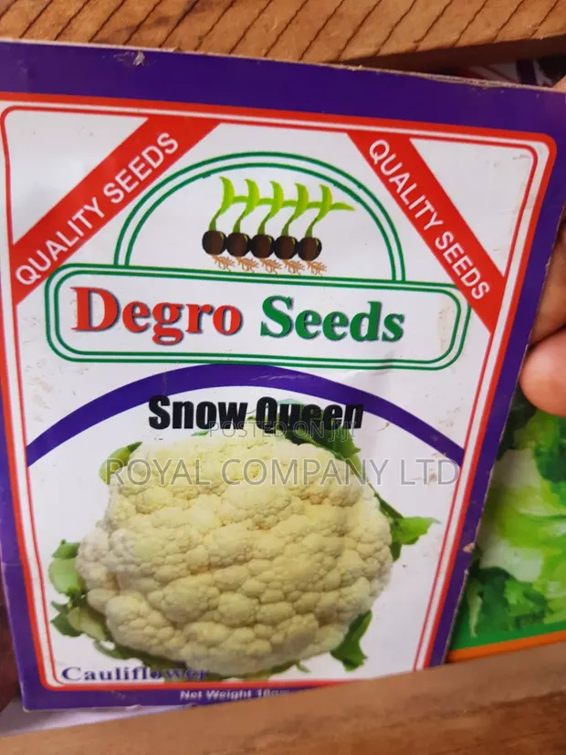 Degro Seeds Cauliflower 'Snow Queen' - 10g - 1