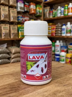Lava Bedbug Solution