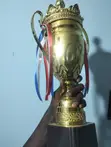 Tournament Trophy - Used - 2