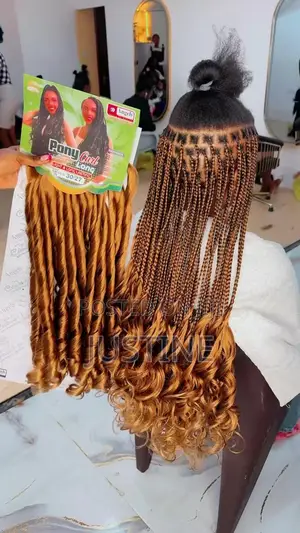 Pony Curl Braids - Multicolor