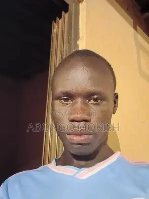 Driver CV - Abongo