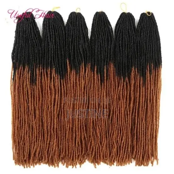 Double Tinted Locs - Natural Hair Extensions - 1