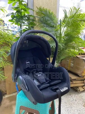 2-in-1 Car Carrier and Car Seat