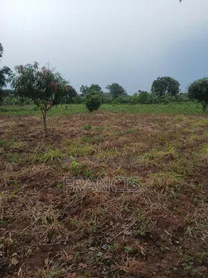 1 Acre Land for Sale near Wobulenzi