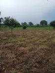 1 Acre Land for Sale near Wobulenzi - 1