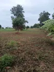 1 Acre Land for Sale near Wobulenzi - 2
