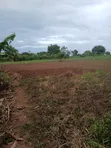 1 Acre Land for Sale near Wobulenzi - 4