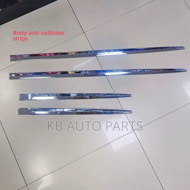 Chrome Door Mould Trim for All Cars - 1