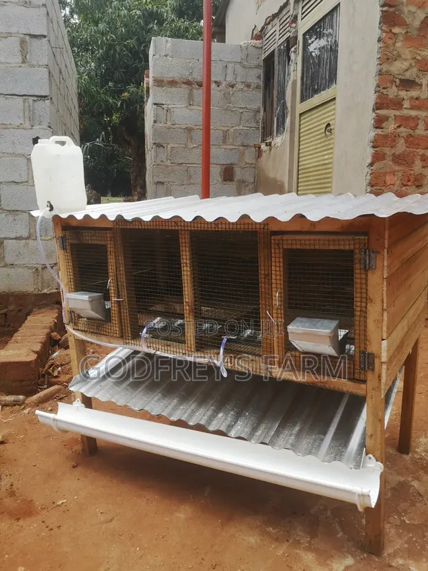 Wooden Rabbit Cages - Mutebi Agro Farm - 1