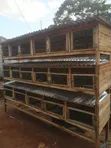 Wooden Rabbit Cages - Mutebi Agro Farm - 2