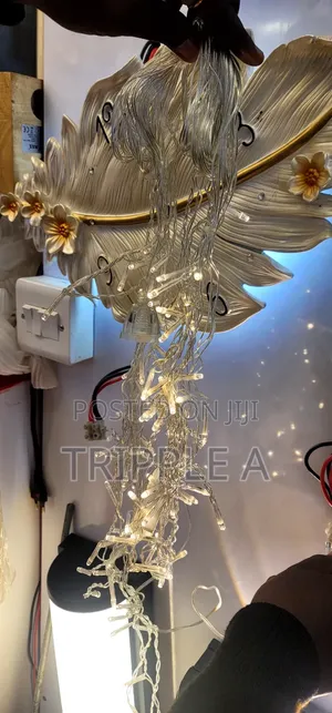 LED Decorative Lights - Indoor/Outdoor