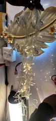LED Decorative Lights - Indoor/Outdoor - 1