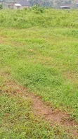 Namusera Plot for Sale - Wakiso - 1