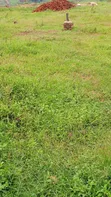 Namusera Plot for Sale - Wakiso - 3