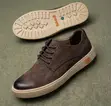 Classic Men's Dark Brown Timberland Low Casual Shoes - 1