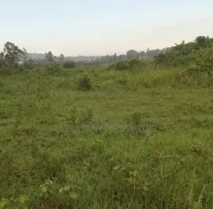 2 Square Miles Freehold Land for Sale in Nakasongola