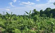2 Square Miles Freehold Land for Sale in Nakasongola - 3