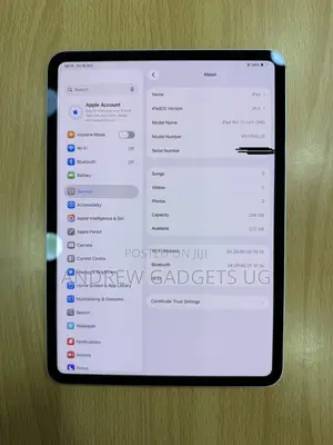 Apple iPad Pro 11 (2024) 256GB Silver