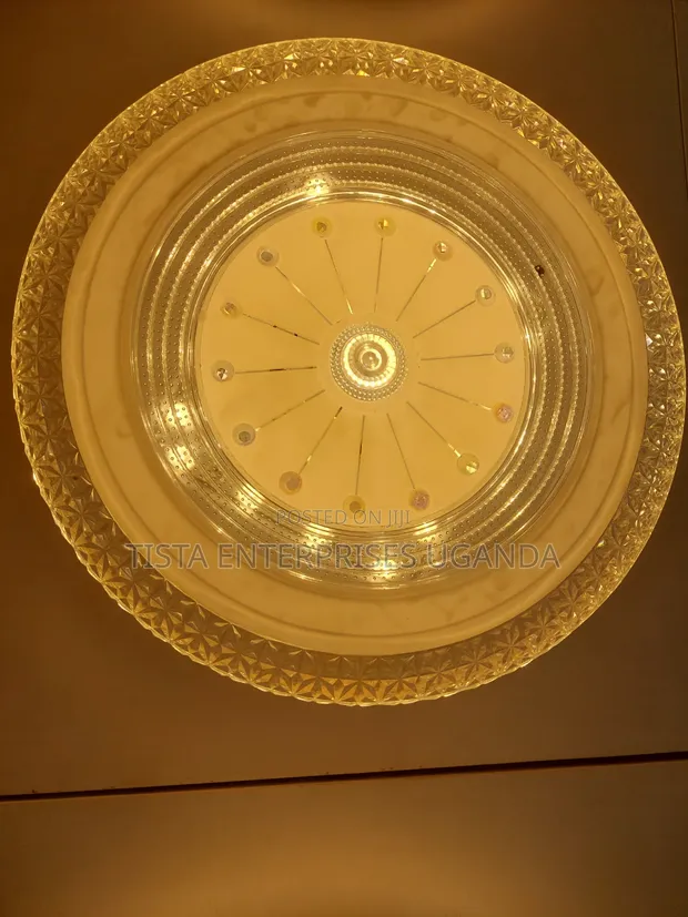 Brand New Ceiling Light with Color Changing Feature - 1