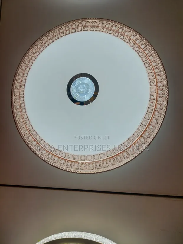 Brand New Ceiling Light with Color Changing Feature - 1
