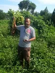 7 Acres Titled Farmland in Zirobwe for Sale/Lease - 1