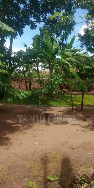 2000 SQF Land for Rent Near St Cyprian High School