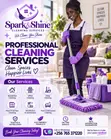 Spark & Shine Professional Cleaning Services - 1