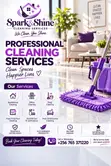 Spark & Shine Professional Cleaning Services - 2