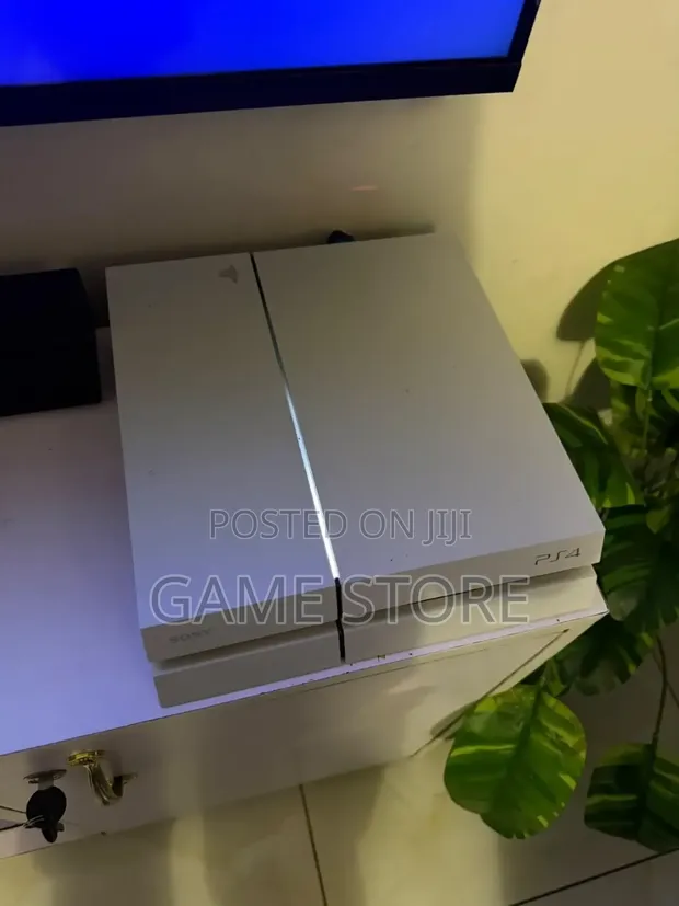 PS4 Standard 500GB - 1