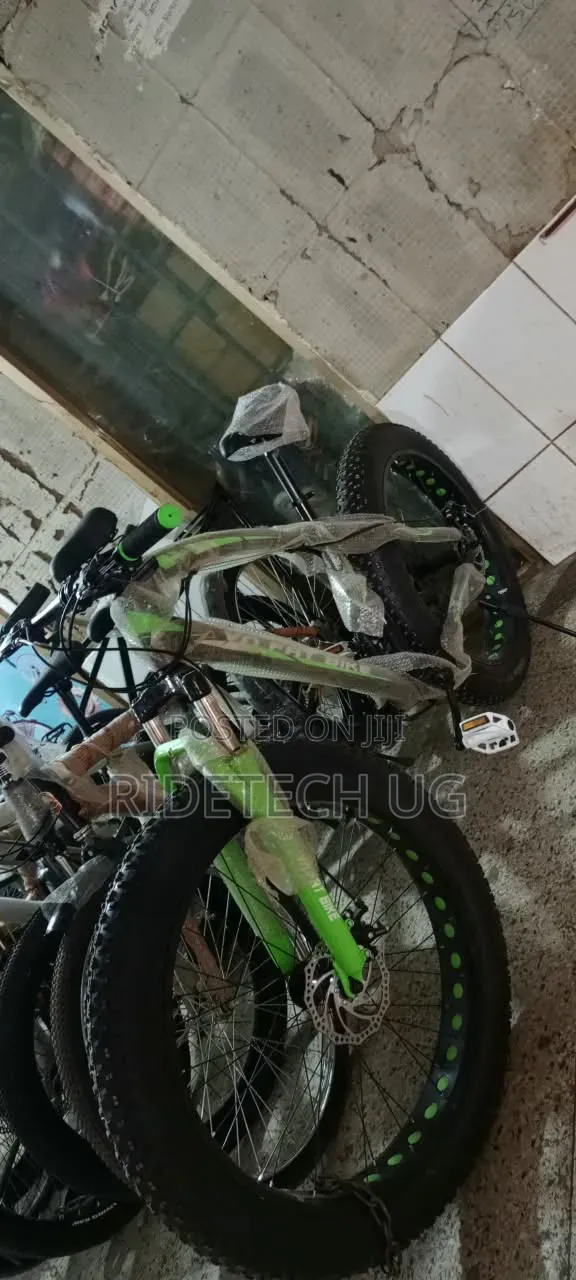 Brand New Mountain Bike - 1