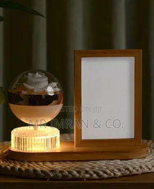 LED Photo Frame Lamp with Illuminated Flower Globe