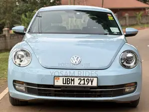 Volkswagen Beetle 2014 Blue