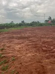 Plot of Land for Sale in Kijabijo, Gayaza - 3