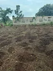 Plot of Land for Sale in Kalagala, Nakasaja - Kayunga Road - 1
