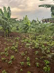 Plot of Land for Sale in Kalagala, Nakasaja - Kayunga Road - 3