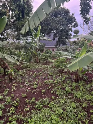Plot of Land for Sale in Kalagala, Nakasaja