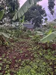 Plot of Land for Sale in Kalagala, Nakasaja - 1