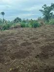 Plot of Land for Sale in Kalagala, Nakasaja - 2