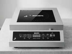 Commercial Stainless Steel Induction Cooker - Ant Kitchen Appliances