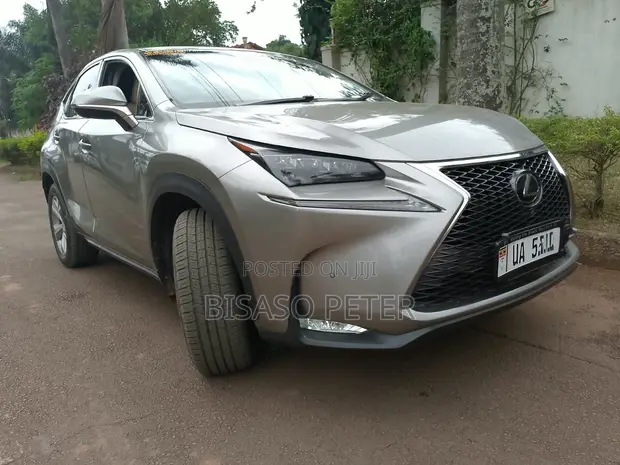 Lexus NX 2019 Gray - 1