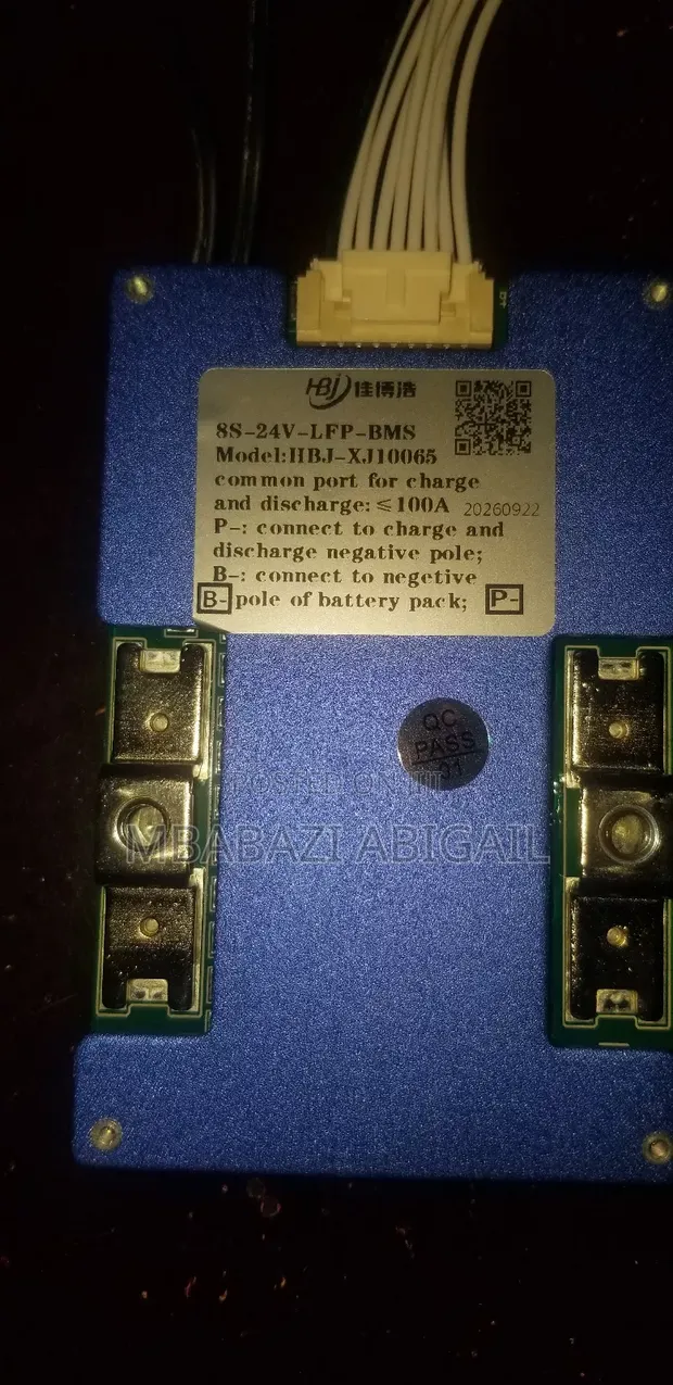 8S-24V Lithium Iron Phosphate BMS 100A - 1
