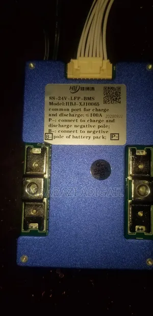 8S-24V Lithium Iron Phosphate BMS 100A