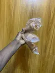 Silicone Penis Sleeves (6-8 Inches) - 2