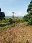 10 Acres Lake Victoria View Land in Buikwe - 1