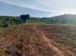 10 Acres Lake Victoria View Land in Buikwe - 2