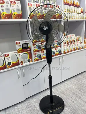 PTL Stand Fan